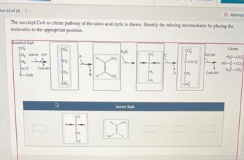 on 13 of 18 >
The succinyl CoA to citrate pathway of the citric acid cycle is shown. Identify the missing intermediates by placing the
molecules to the appropriate position.
Succinyl CoA
çoż
CH₂ GOP.P. GTP
CH₂
V
=o COA-SH
S-COA
CO₂
CH₂
CH₂
CO₂
HOW
CO₂
CH₂
CO₂
H
B H
CO₂
co
"o,c
H₂O
Answer Bank
ço,
CH₂
co₂
OH
CO₂
CIO
CH₂
CO₂
AcCoA
Attempt
COA-SH
Citrate
H₂C-CO₂
HỌ–C.COz
H₂C-CO₂