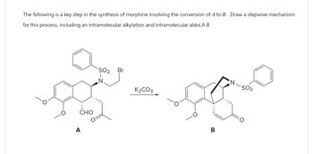 The following is a key step in the synthesis of morphine involving the conversion of A to B. Draw a stepwise mechanism
for this process, including an intramolecular alkylation and intramolecular aldol.A B
A
CHO
SO2
Br
N
K2CO3
B
N
S02