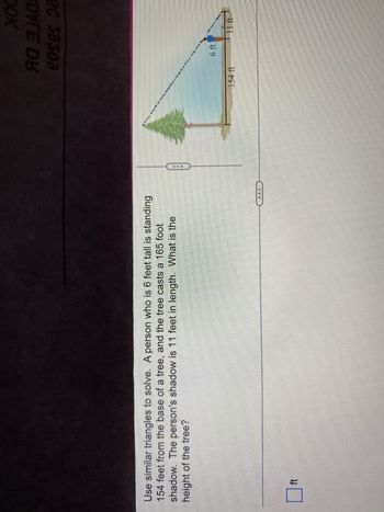 **Using Similar Triangles to Solve for the Height of a Tree**

**Problem Statement:**
A person who is 6 feet tall is standing 154 feet from the base of a tree. The tree casts a 165-foot shadow. The person's shadow is 11 feet in length. What is the height of the tree?

**Diagram Explanation:**
- The diagram shows two similar triangles.
- The smaller triangle consists of:
  - A vertical line representing the person who is 6 feet tall.
  - A horizontal line representing the person’s shadow, which is 11 feet long.
- The larger triangle consists of:
  - A vertical line representing the tree.
  - A horizontal line representing the tree's shadow, which is 165 feet long, starting from a distance of 154 feet from the tree's base.

**Solution:**
- Use the properties of similar triangles to set up a proportion:
  \[
  \text{Height of the Person} / \text{Length of Person's Shadow} = \text{Height of the Tree} / \text{Length of Tree's Shadow}
  \]
- Substitute the known values:
  \[
  6 \text{ ft} / 11 \text{ ft} = \text{Height of the Tree} / 165 \text{ ft}
  \]
- Solve for the height of the tree.

**Conclusion:**
By solving the proportion, you can determine the height of the tree using the similarity of triangles.