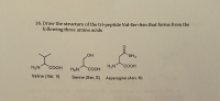 16. Draw the structure of the tri-peptide Val-Ser-Asn that forms from the
following three amino acids
NH2
H2N
COOH
H2N
COOH
H2N
COOH
Valine (Val, V)
Serine (Ser, S) Asparagine (Asn, N)
