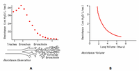 .06
.04-
.02-
Trachea Bronchus
Bronchiole
2
4
8.
Lung Volume (liters)
Resistance.Yolume
Terminal
Bronchiole
Resistance.Generstion
A
В
Resistance (cm H20/L /sec)
Resistance (cm H20/L/sec)
2-
