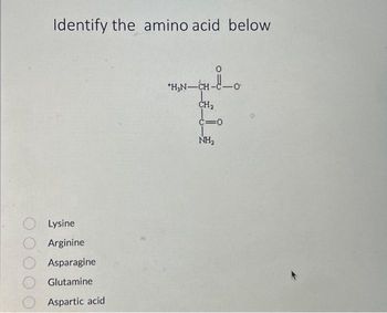 Identify the amino acid below
Lysine
Arginine
Asparagine
Glutamine
Aspartic acid
*H₂N-CH-
CH₂
C=0
NH₂