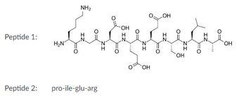 Peptide 1:
Peptide 2:
NH₂
H₂N
pro-ile-glu-arg
OH
OH
'N
Н
OH
OH