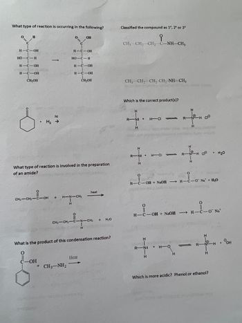 ### Transcription of Image Content

#### 1. What type of reaction is occurring in the following?

**Diagram**
- The left molecule shows a linear structure with an aldehyde group (CHO) at one end and hydroxyl groups (OH) on each carbon.
- The right molecule converts the aldehyde group to a carboxylic acid group (COOH), indicating the oxidation of the aldehyde to an acid.

#### 2. Classify the compound as 1º, 2º, or 3º

Two structures are given:

- **Structure 1:** 
  \[
  \text{CH}_3\text{– CH}_2\text{– CH}_2\text{– C}(\text{O})\text{– NH– CH}_3
  \]
  This is a secondary (2º) amide.

- **Structure 2:**
  \[
  \text{CH}_3\text{– CH}_2\text{– CH}_2\text{– CH}_2\text{– NH– CH}_3
  \]
  This is a secondary (2º) amine.

#### 3. Which is the correct product(s)?

- **Top Reaction:**
  \[
  \text{R–N} + \text{H–Cl} \leftrightarrows \text{R–NH} + \text{Cl}^-
  \]

- **Bottom Reaction:**
  \[
  \text{R–N} + \text{H–Cl} \rightarrow \text{R–N}^+ \text{H}_2\text{+} \text{Cl}^- \text{+ H}_2\text{O}
  \]

#### 4. What type of reaction is involved in the preparation of an amide?

- **Reactants:**
  \[
  \text{CH}_3\text{– C(O)– OH} + \text{H–NH} \text{– CH}_3
  \]
- **Products:**
  \[
  \text{CH}_3\text{– C(O)– NH} \text{– CH}_3 + \text{H}_2\text{O}
  \]

This is a condensation reaction forming an amide and water.

#### 5. What is the