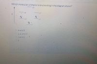 Which molecularorbltalis/arebondingin the diagramshown?
0:4and S
,2 and 2
