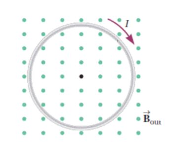 The image illustrates a circular wire loop in an external magnetic field. The diagram consists of the following components:

1. **Circular Wire Loop**: A loop is shown in the diagram, depicted by a gray circle.

2. **Current (I)**: An arrow along the wire loop indicates the direction of the electric current, I, flowing in a clockwise direction.

3. **Magnetic Field (\( \mathbf{B}_{\text{out}} \))**: The green dots represent the direction of the external magnetic field, which is pointing out of the page or screen.

4. **Central Dot**: A black dot at the center of the loop represents a reference point or possibly the center of the magnetic field lines.

The diagram visually represents how a current-carrying loop interacts with an external magnetic field. According to the right-hand rule, the magnetic field inside the loop due to the current will oppose the external field (indicated by green dots), which is pointing outwards.