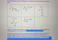 The following are structural diagrams of a selection of newly discovered amino
acids.
OH
-の-CHs
NH
HO
C-OH
NH,
AN-CH
CH2
CH2
OH
Ho
NH,
C=0
a) Select 1 amino acid. Redraw it. Label the alpha carbon and circle/highlight the
entire backbone of the amino acid.
b) The amino acids are part of a channel protein embedded in the cell membrane.
Choose 2 amino acids (from above) that you would expect to find within the
interior/middle of the cell membrane. Draw the formation of the dipeptide using the
2 amino acids you selected. Identify the other products formed in the reaction.
