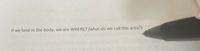 If we land in the body, we are WHERE? (what do we call this area?)
