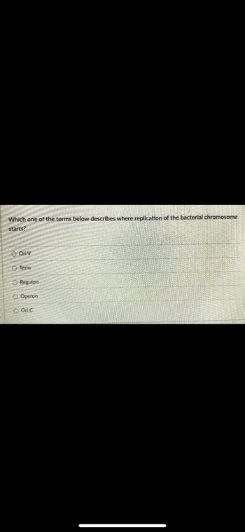 Which one of the terms below describes where replication of the bacterial chromosome
starts?
Oriv
O Term
O Regulon
Operon
Ori C