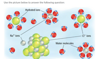 Answered: nyurateu ions Nat ions CI- ions Water… | bartleby