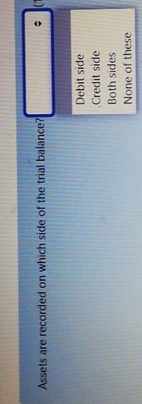 Assets are recorded on which side of the trial balance?
Debit side
Credit side
Both sides
None of these
