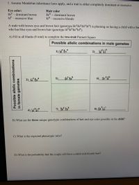 1. Assume Mendelian inheritance laws apply, and a trait is either completely dominant or recessive.
Eye color:
Br - dominant brown
blE -recessive blue
Hair color
Br" -- dominant brown
bl" - recessive blonde
A male with brown eyes and brown hair (genotype Br"Br"Br"bl") is planning on having a child with a fen
who has blue eyes and brown hair (genotype bl"bl"Br"bl").
A) Fill in all blanks (8 total) to complete the two-trait Punnett Square
Possible allelic combinations in male gametes
1) bl°Br"
2) bl*bl*
3)_bl* BrM
6) BrʻL*
5)
7) B, Br"
8) Bríbl'
B) What are the three unique genotypic combinations of hair and eye color possible in the child?
C) What is the expected phenotypic ratio?
D) What is the probability that the couple will have a child with blonde hair?
Possible allelic combinations
in female gametes
