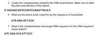 5. Create the complimentary strand for the DNA strand below. Make sure to label
the parts and direction of the strand.
5'-GGCAACGGTCCAGTCCAAGTTACG-3'
6. What are the amino acids coded for by this sequence of nucleotides:
ATG GGA ACT CCA
7. What is the complementary messenger-RNA sequence for the DNA sequence
shown below?
ATC GGA CCG ATT GCC
