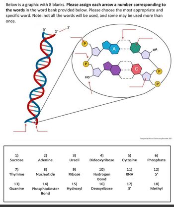 Answered: Below is a graphic with 8 blanks.… | bartleby