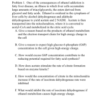 E. How would the concentration of citrate in the mitochondria
increase if the rate of isocitrate dehydrogenase rate were
inhibited
F. What would inhibit the rate of isocitrate dehydrogenase if
ethanol metabolism causes high-energy charge.
