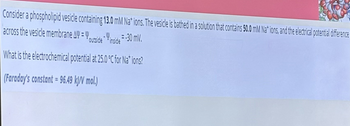 Consider a phospholipid vesicle containing 13.0 mM Nat ions. The vesicle is bathed in a solution that contains 50.0 mM Nations, and the electrical potential difference
across the vesicle membrane AW=
outside inside =-30 mV.
inside-30
What is the electrochemical potential at 25.0 °C for Nations?
(Faraday's constant=96.49 kJ/V mol.)