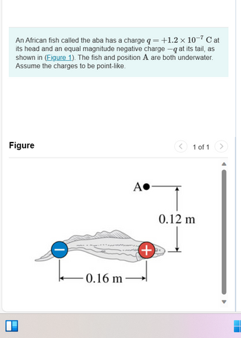 An African fish called the aba has a charge q = +1.2 × 10-7 Cat
its head and an equal magnitude negative charge -q at its tail, as
shown in (Figure 1). The fish and position A are both underwater.
Assume the charges to be point-like.
Figure
-0.16 m
Α•
(+)
1 of 1
0.12 m