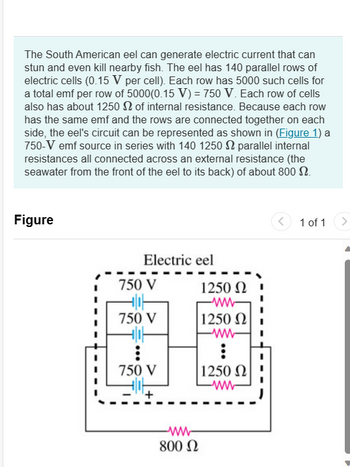 The South American eel can generate electric current that can
stun and even kill nearby fish. The eel has 140 parallel rows of
electric cells (0.15 V per cell). Each row has 5000 such cells for
a total emf per row of 5000(0.15 V) = 750 V. Each row of cells
also has about 1250S of internal resistance. Because each row
has the same emf and the rows are connected together on each
side, the eel's circuit can be represented as shown in (Figure 1) a
750-V emf source in series with 140 1250 2 parallel internal
resistances all connected across an external resistance (the
seawater from the front of the eel to its back) of about 800 2.
Figure
Electric eel
750 V
750 V
750 V
1250 Ω
|1250 Ω
ww
:
ww
800 Ω
1250 Ω
www
<
1 of 1