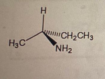 H3 C
H
"CH₂CH3
NH₂