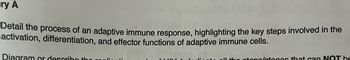 ry A
Detail the process of an adaptive immune response, highlighting the key steps involved in the
activation, differentiation, and effector functions of adaptive immune cells.
Diagram or describe the
stone/stages that can NOT be