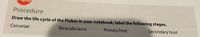 Procedure
Draw the life cycle of the Flukes in your notebook; label the following stages.
Cercariae
Miracidia larva
Primary host
Secondary host
