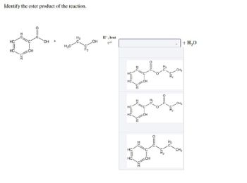 Identify the ester product of the reaction.
HC
HC
IU
OT
CH
OH +
MC-
OH
H+, heat
HC
HC.
HC
جدید
IL
HC.
CH
HC
علام
HC.
CH
CH
| + H2O
CH₂
CH₂
CH3