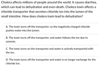 Cholera affects millions of people around the world. It causes diarrhea,
which can lead to dehydration and even death. Cholera toxin affects a
chloride transporter that secretes chloride ion into the lumen of the
small intestine. How does cholera toxin lead to dehydration?
A. The toxin turns off the transporter, so the negatively charged chloride
pushes water into the lumen.
B. The toxin turns off the transporter, and water follows the ion due to
osmosis.
C. The toxin turns on the transporter and water is actively transported with
the ion.
D. The toxin turns off the transporter and water is no longer exchange for the
chloride ion.
