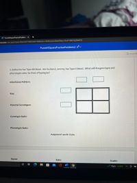 Answered: Punnett Square Practice Exercises Pa… | Bartleby