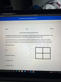 Answered: Punnett Square Practice Exercises Pa… | Bartleby