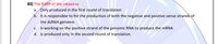 83) The RDRP of the rotavirus
a. Only produced in the first round of translation
b. It is responsible to for the production of both the negative and positive sense strands of
the dsRNA genome.
c. Is working on the positive strand of the genomic RNA to produce the mRNA
d. Is produced only in the second round of translation.
