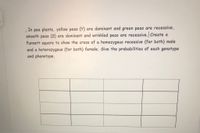 In pea plants, yellow peas (Y) are dominant and green peas are recessive, smooth peas (S) are dominant and wrinkled peas are recessive. Create a Punnett square to show the cross of a homozygous recessive (for both) male and a heterozygous (for both) female. Give the probabilities of each genotype and phenotype.

[The image includes a blank 4x4 Punnett square for filling in genetic combinations.]