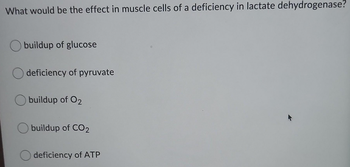 What would be the effect in muscle cells of a deficiency in lactate dehydrogenase?
buildup of glucose
deficiency of pyruvate
buildup of O2
buildup of CO2
deficiency of ATP