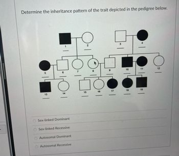 Answered: Determine the inheritance pattern of… | bartleby