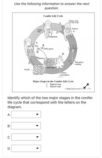 Answered: Identify which of the two major stages… | bartleby