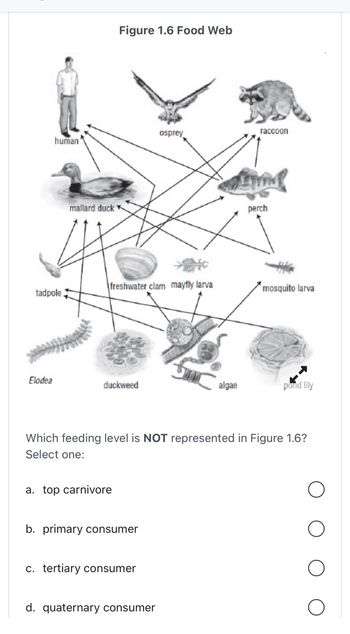 Answered: human' mallard duck Figure 1.6 Food Web… | bartleby