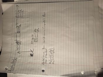 fresh feed
100 ml GH
reactor
Separator Product
(Soul (3118
95ml (316
95ml
$9.75mil GH16
reopple
895 mil C3H8
4.75 mil (36
determine the unknown (inputo) for
the reactor.
h₁ (m) (318)
h₂ (md (3116)