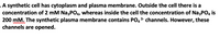 .A synthetic cell has cytoplasm and plasma membrane. Outside the cell there is a
concentration of 2 mM NazPO4, whereas inside the cell the concentration of Na3PO, is
200 mM. The synthetic plasma membrane contains PO4 3- channels. However, these
channels are opened.
