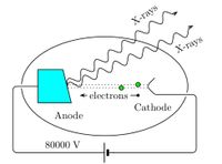 Х-rays
X-rays
electrons
Anode
Cathode
80000 V
