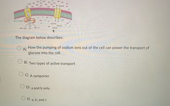 Na-K" ATPase
ATP + H₂O
2 K+
ADP + P₁
Na
Na
OD)
K
Na
Na
K
Na
Na
Na
"K"
Na
E) a, b, and c
C) A symporter
K
a and b only
Na
Na
Na
Glucose
Na
Na Glucose
Na
Glucose
The diagram below describes:
SGLT
Glucose
A)
How the pumping of sodium ions out of the cell can power the transport of
glucose into the cell.
B) Two types of active transport
Na
Na
Na
K"