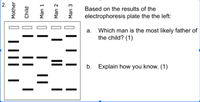 Based on the results of the
electrophoresis plate the the left:
Which man is the most likely father of
the child? (1)
b.
Explain how you know. (1)
2.
Mother
III |
||
Child
Man 1
| |
TO Man 3
Man 2
II
