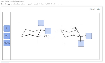 trans-1-ethyl-2-methylcyclohexane
Drag the appropriate labels to their respective targets. Note: not all labels will be used.
H
CH₂
CH₂CH₂
CH3
CH₂
Reset
Help