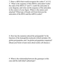 7. Draw a tRNA that would recognize the codon 5' A U G
3'. What is the sequence of this tRNA's anticodon? Label
the ends of the tRNA (3' and 5'). Label the anticodon in
your diagram, and write out the sequence of the anticodon
in the context of your figure. Where is the amino acid
attached? What type of bonds will form between the
anticodon of the tRNA and the mRNA codon?
8. How has the mutation altered the polypeptide? Is the
function of the hemoglobin molecule (which includes 2 b-
globin polypeptides and 2 a-globin polypeptides) impaired?
(Read your book to learn more about sickle cell disease.)
9. What is the relationship between the genotype in this
case and the individual's phenotype?
