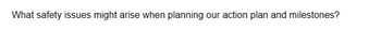 What safety issues might arise when planning our action plan and milestones?