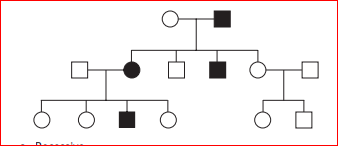 Answered: For the pedigree shown here, which… | bartleby