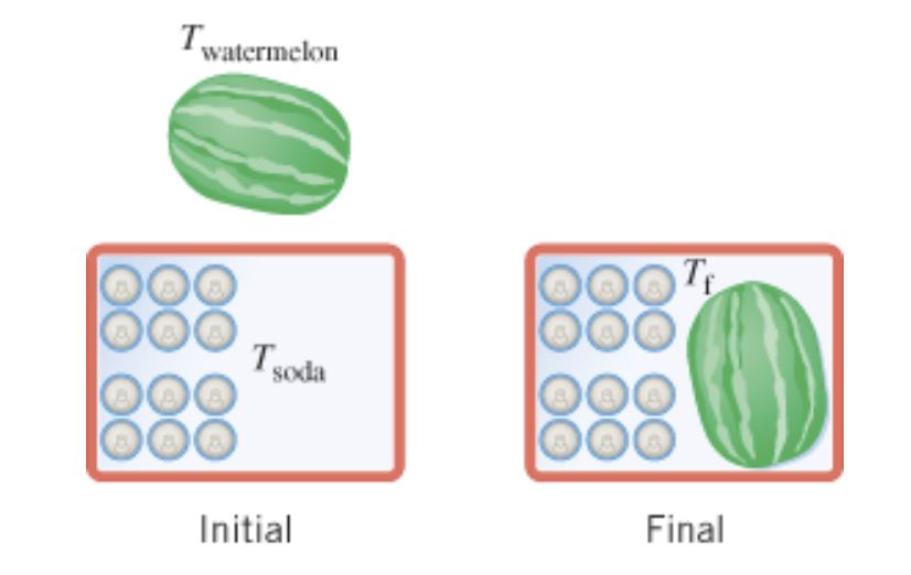 т,
watermelon
Tr
Tsoda
888
Final
Initial
