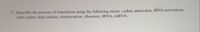 17. Describe the process of translation using the following terms: codon, anticodon, RNA activiation,
start codon, stop codons, translocation, ribosome, tRNA, mRNA.

