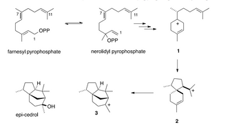 OPP
11
OPP
11
+
farnesyl pyrophosphate
nerolidyl pyrophosphate
1
I
epi-cedrol
OH
3
Ι
+
2
+