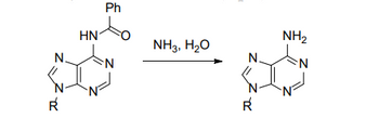 HN
Ph
N.
N
तर न
NH3, H2O
NH2
N
N