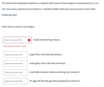 The wild cress Arabidopsis thaliana is a diploid with 5 pairs of homologous chromosomes (i.e. 2n =
10). How many individual chromatids (i.e. individual DNA molecules) are present in each of the
following cells?
Enter all your answers as integers.
Type your answer here
Please type your answer to submit
Type your answer here
Type your answer here
Type your answer here
Type your answer here
! A leaf cell entering mitosis.
A germline cell entering meiosis I.
A daughter cell at the end of mitosis
A cell after meiosis I before entering into meiosis II
An egg cell (female gamete) produced by meiosis II