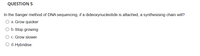 QUESTION 5
In the Sanger method of DNA sequencing, if a dideoxynucleotide is attached, a synthesising chain will?
O a. Grow quicker
b. Stop growing
O c. Grow slower
O d. Hybridise